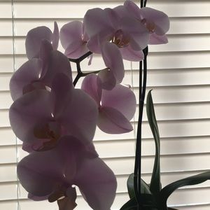 Meet your Posher, Karina